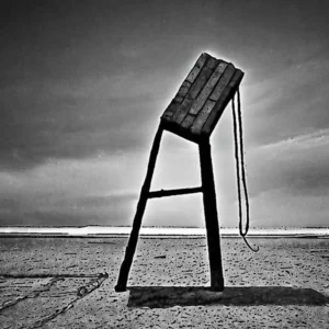 Read more about the article The lifesaving power of carrying heavy items.

 the lifesaving power of carrying heavy items