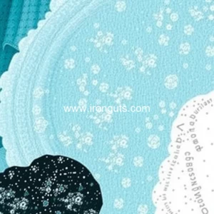 Read more about the article Mental wellness is made in your gut  FIT Talk With Tania