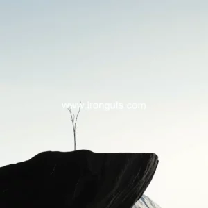 Read more about the article Will thinness lure remain alluring in an era of simplicity?