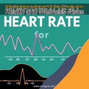 Read more about the article What the ideal heart rate for fat loss and cardio   Health and Wellness News